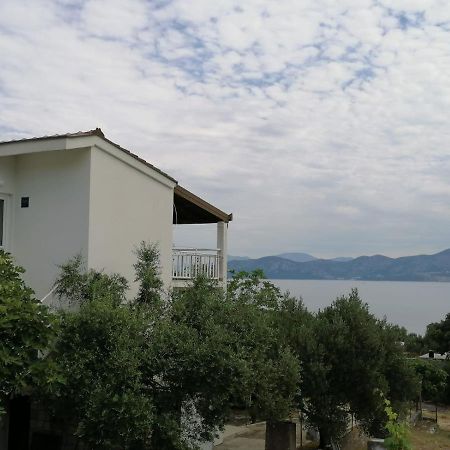 Apartments Bozo Drače المظهر الخارجي الصورة